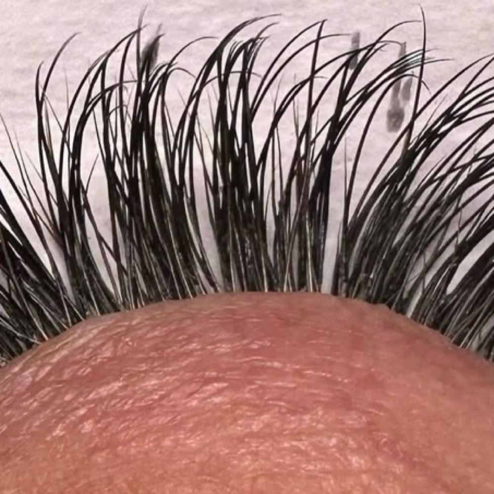 2week Classic Refill at Lash Couture in Bossier City, LA