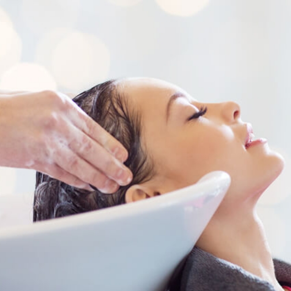 Just Shampoo + Treatment w/Elliott