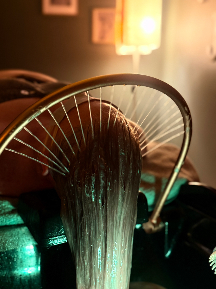 Japanese Inspired Treatment