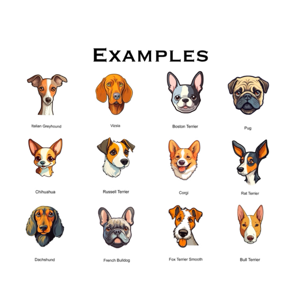 Small Bath (2nd Dog) at Houndstooth Grooming in Joliet, IL