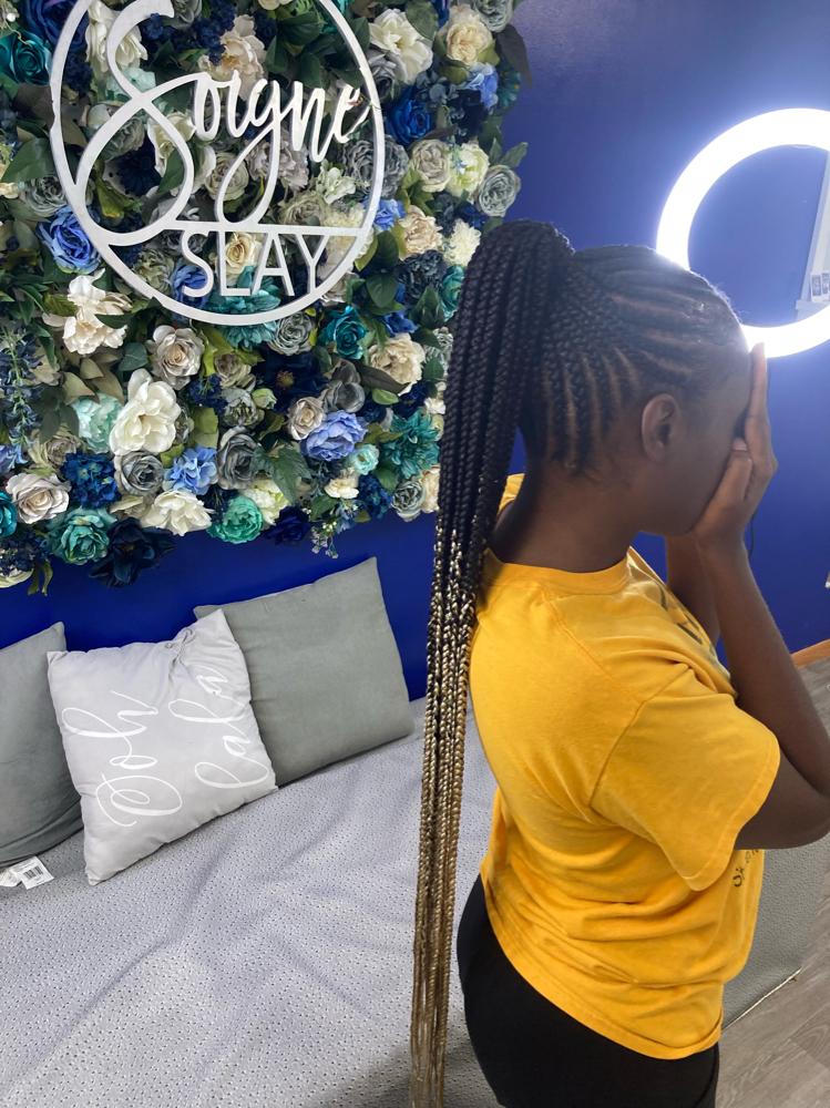 Braided Ponytail
