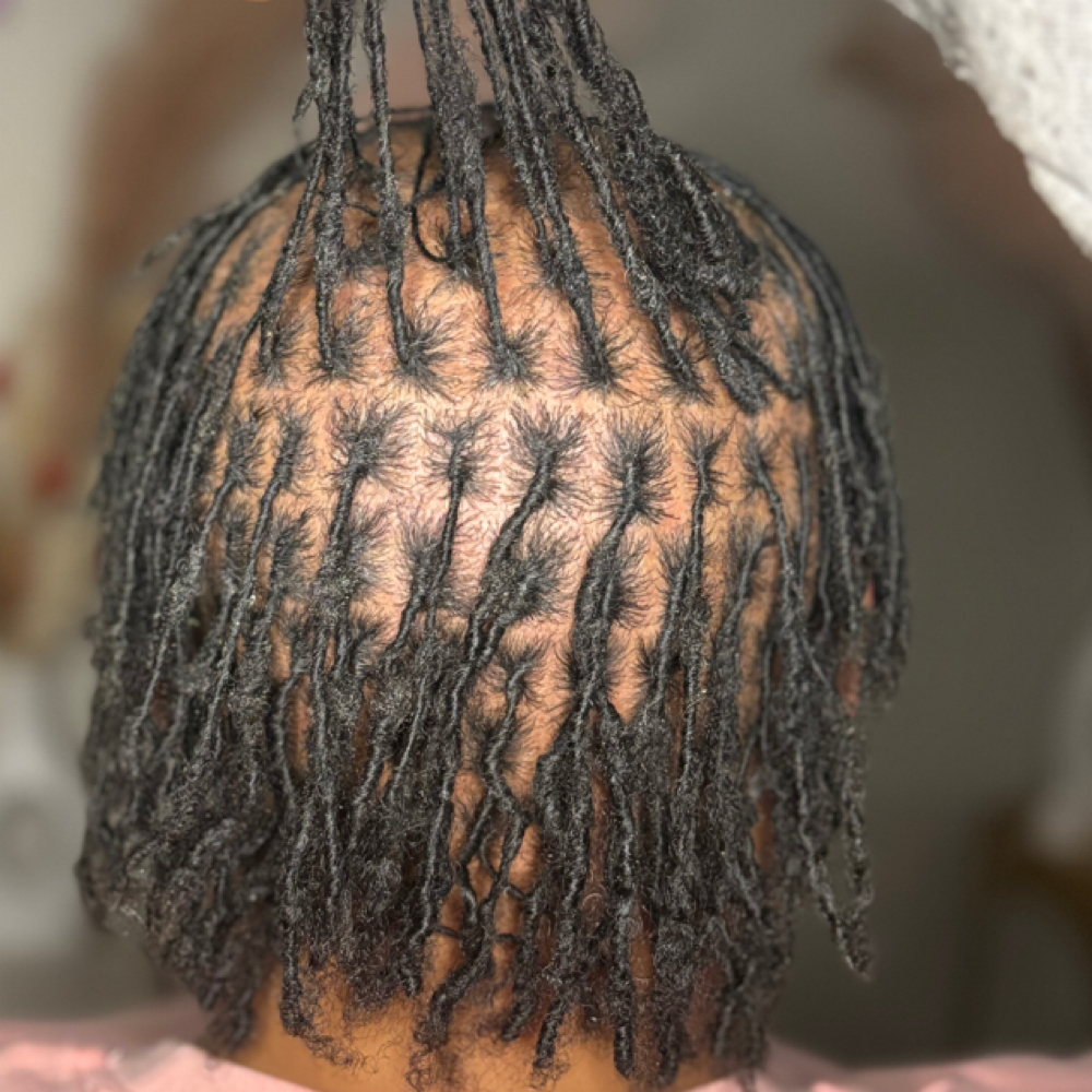 Starter Locs at 𝐀𝐧𝐨𝐢𝐧𝐭𝐞𝐝 𝐋𝐨𝐜𝐬™ 𝐓𝐫𝐢𝐜𝐡𝐨𝐥𝐨𝐠𝐲 𝐒𝐭𝐮𝐝𝐢𝐨𝐬 in Chicago, IL