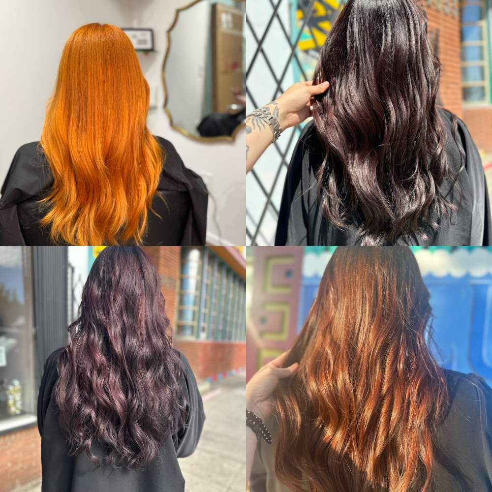 Root Color & Ends Refresh at Luxe Exterior by Stefanny Snow in Los Angeles, CA