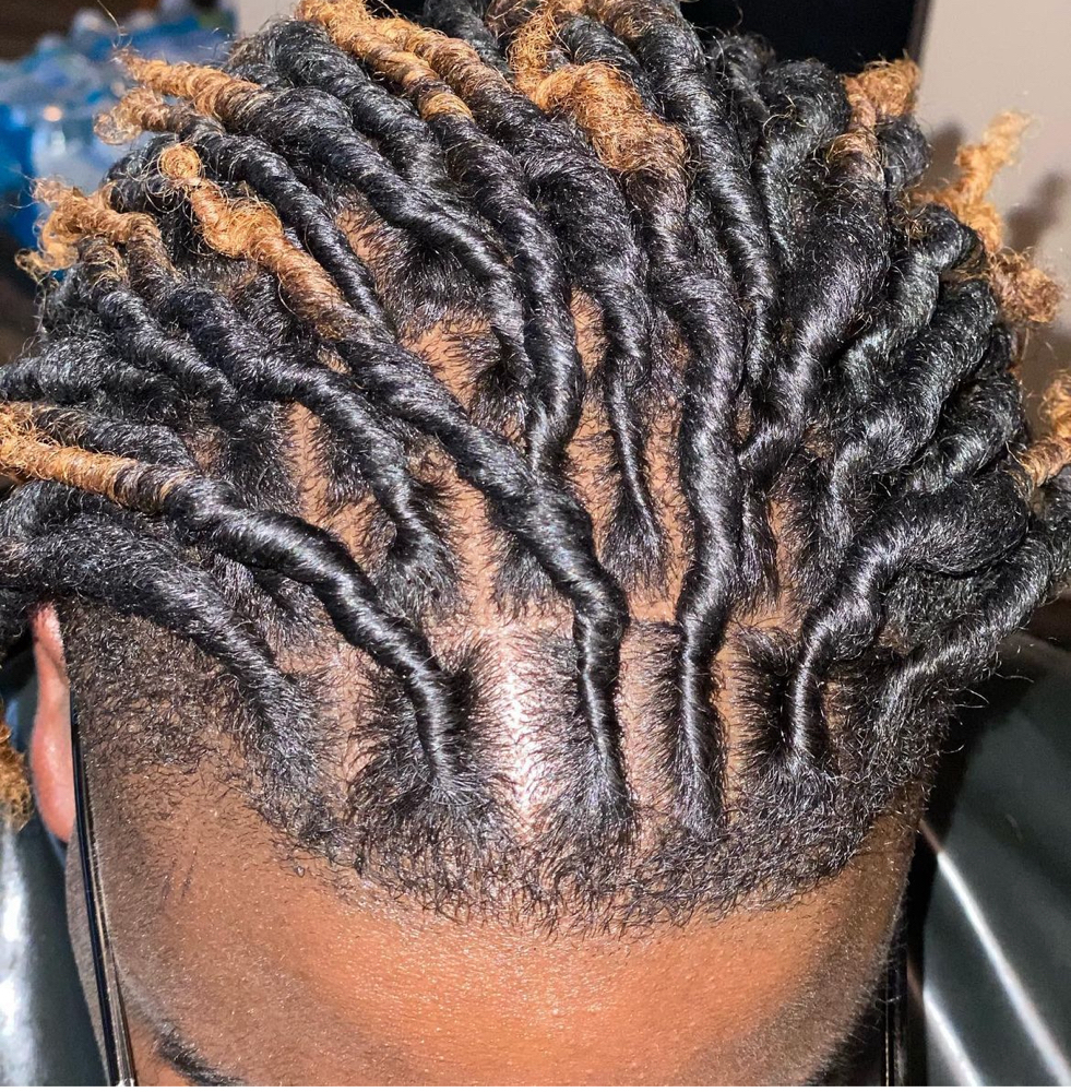 Med Starter Locs (With Faded Sides