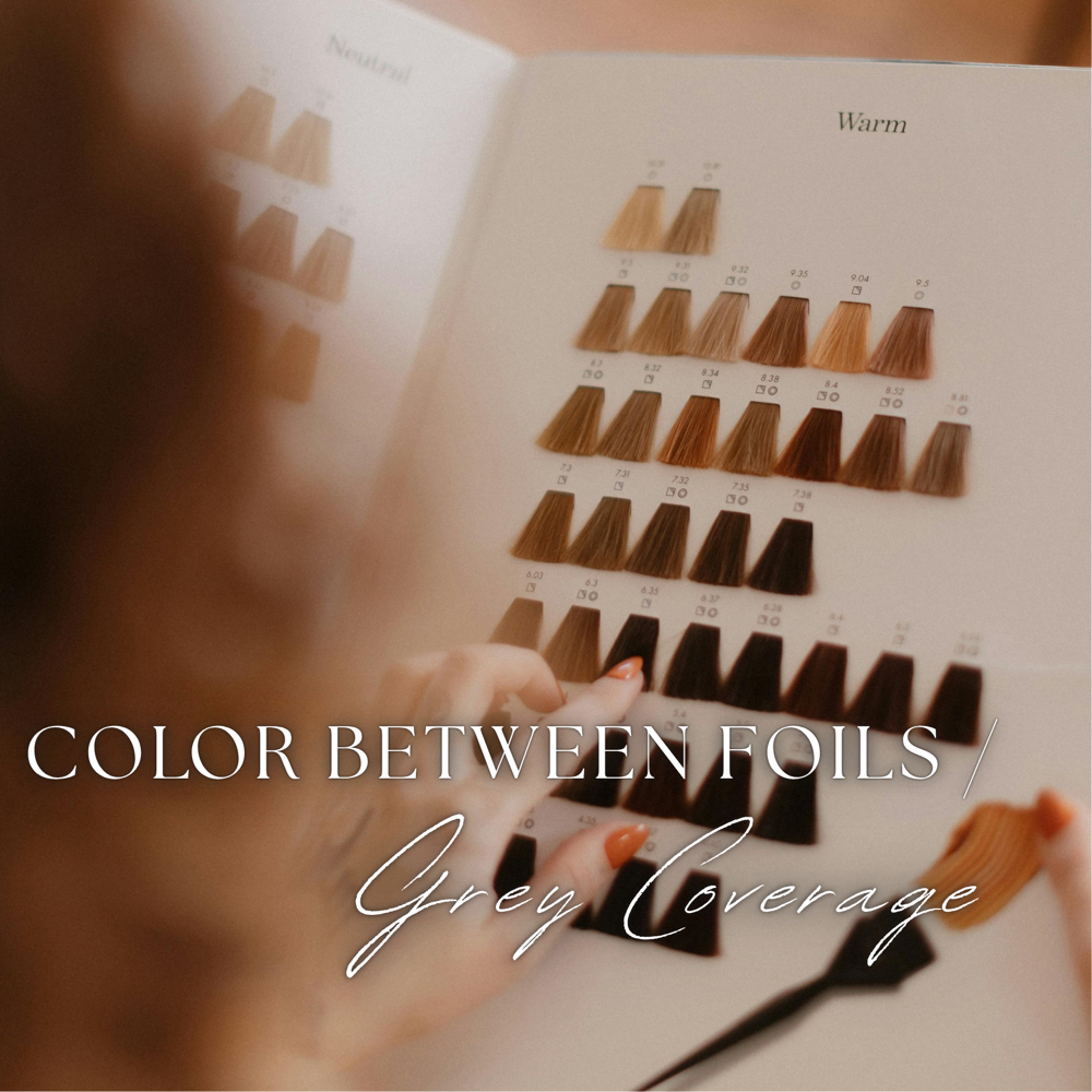 Color Between Foils / Grey Coverage - Add On at Emma HAIRris Beauty in Rome, GA