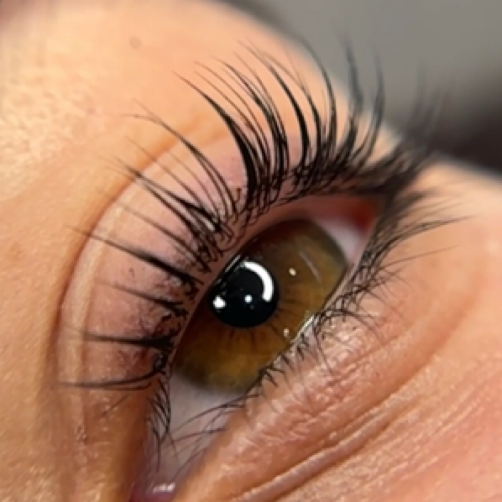 KOREN Lash Lift w/ Tint at Lavish Beauty By Ashley Marie in DORAL, FL