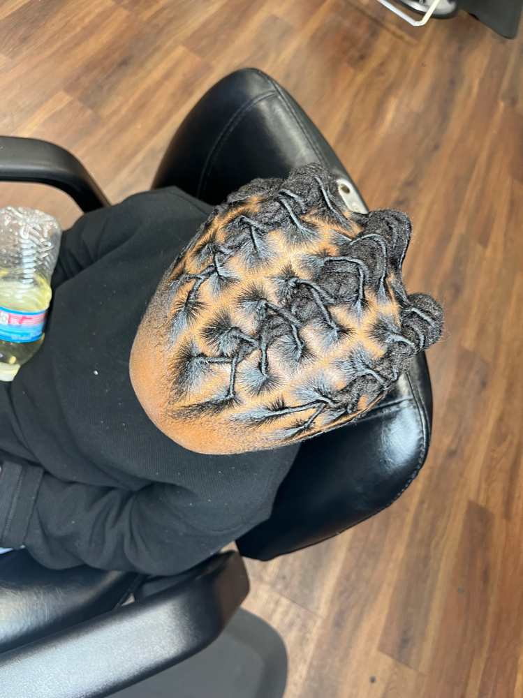 Retwist With Basic Styling