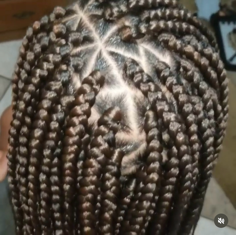 Large Plaits
