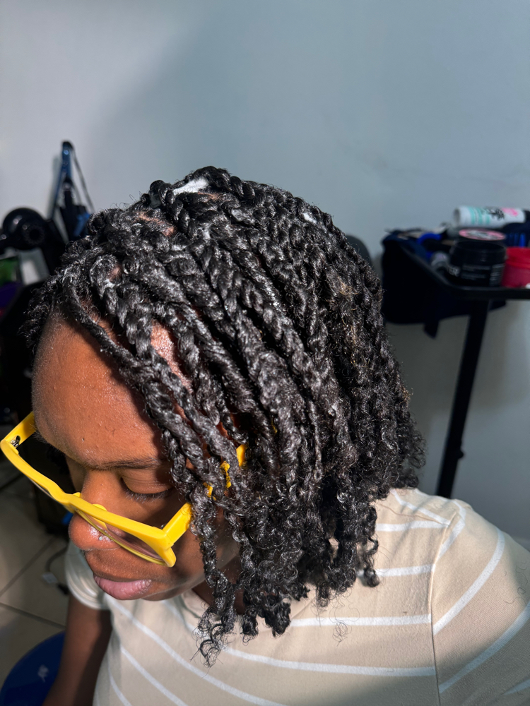 Mini Twists With Hair Added