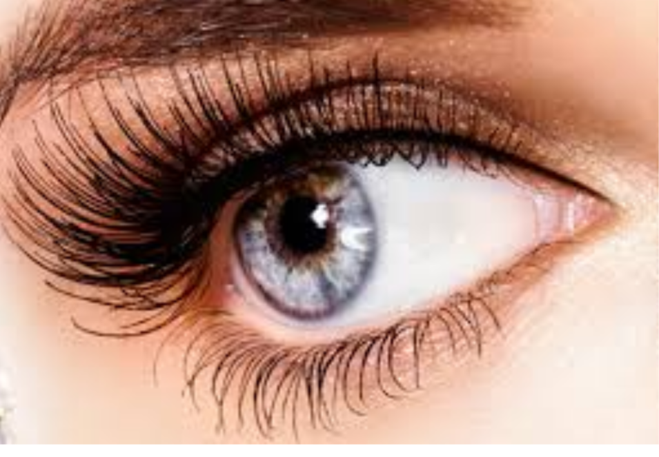 Individual  Eyelash Extensions