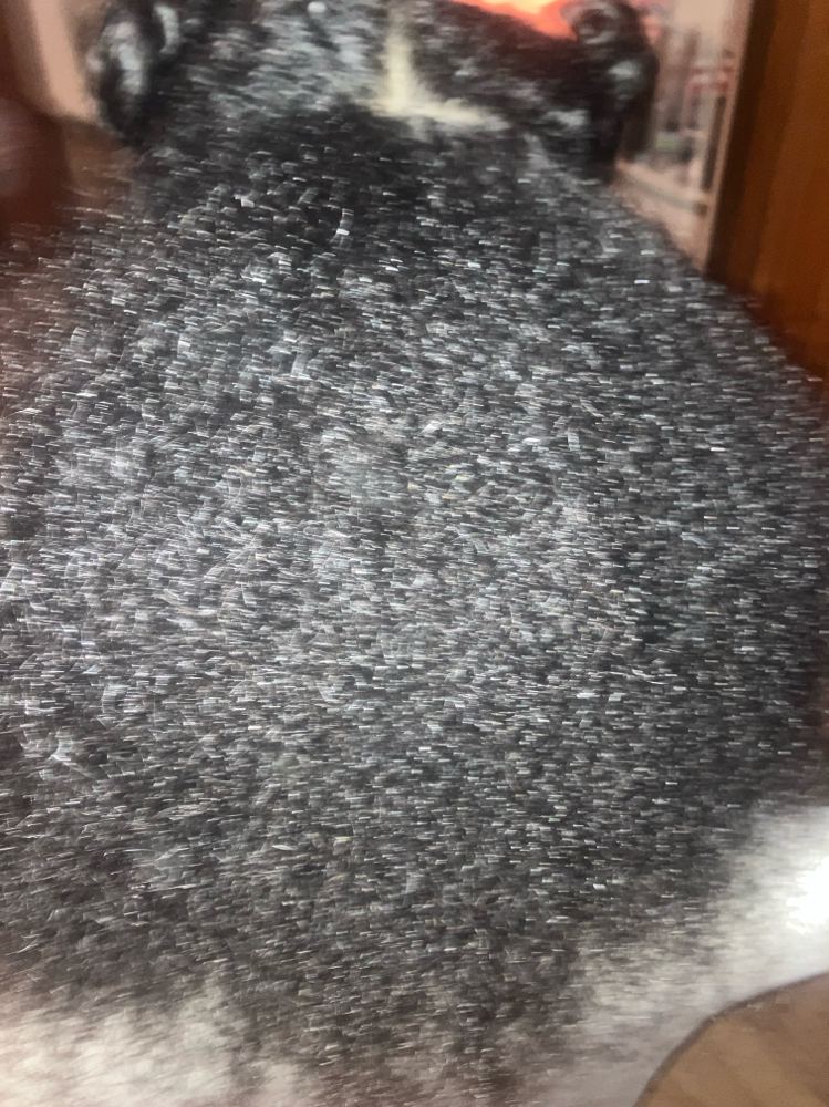 Shampoo Blow Dry Only