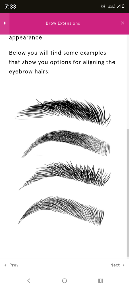 Brow Extensions