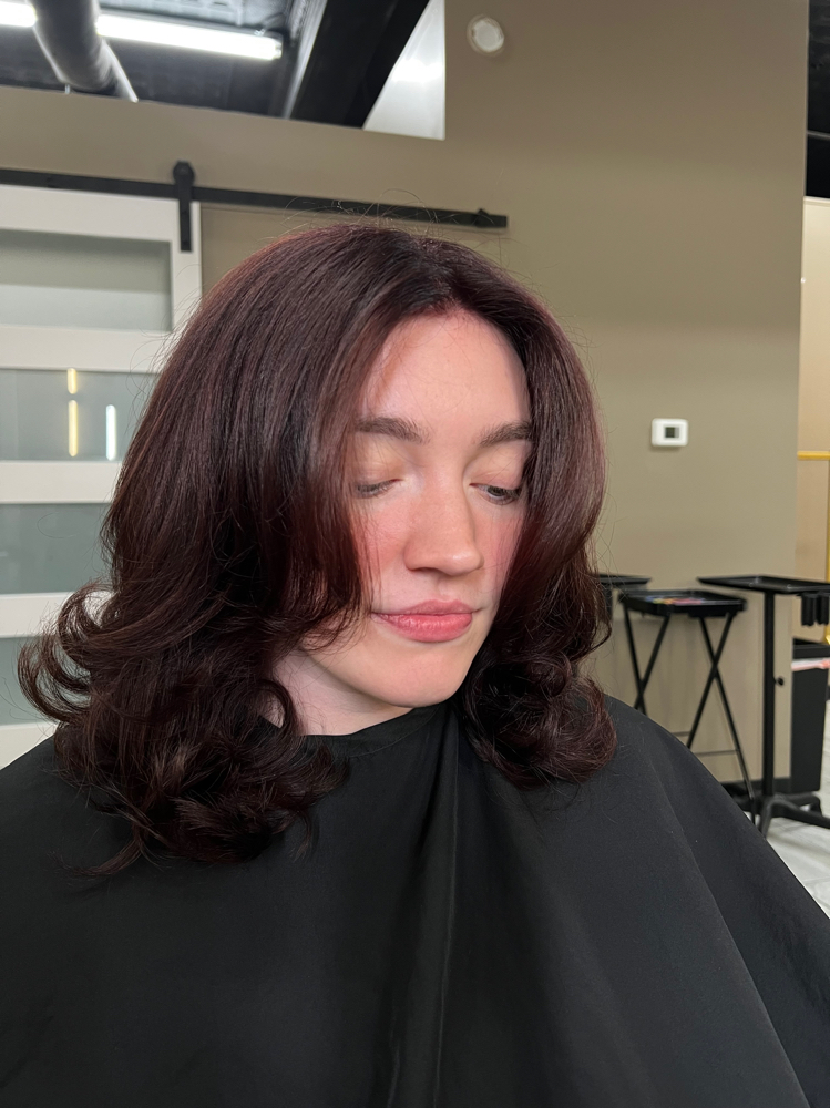 Shampoo, Cut, Blowdry