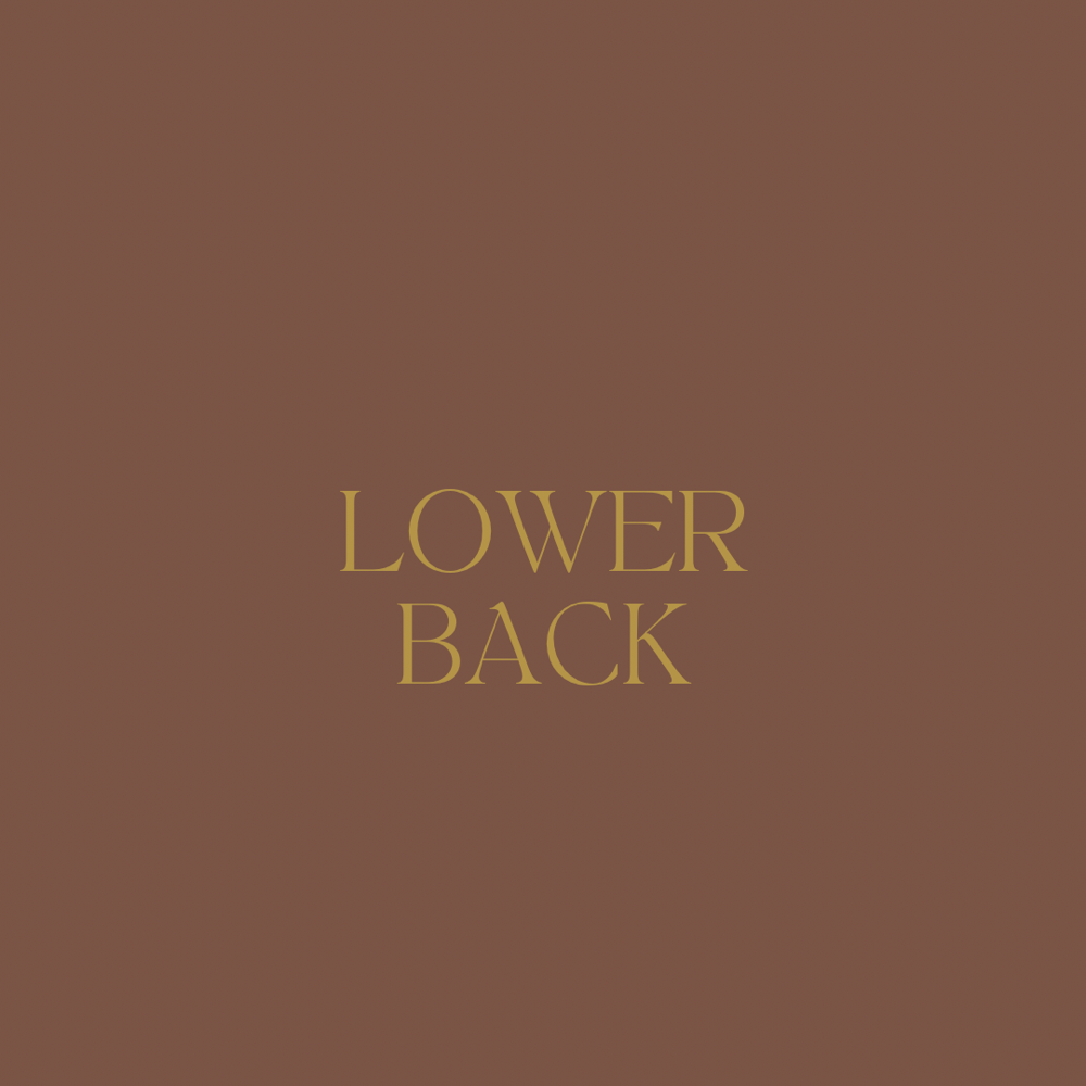 Lower Back