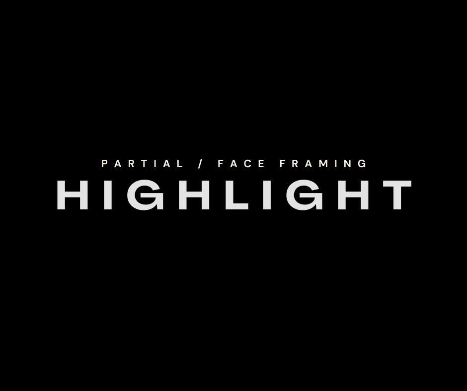 Partial | Face-Framing Highlight