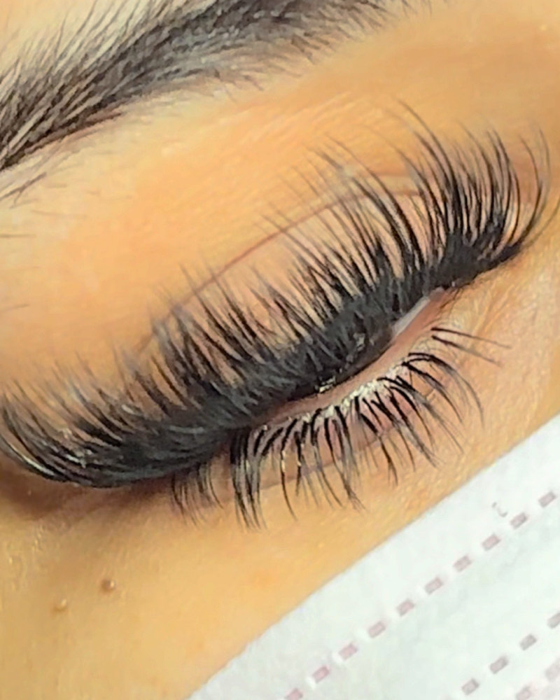Bottom Lashes