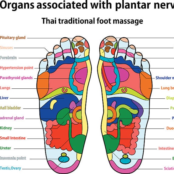 Reflexology at CSE Massage and Bodywork, LLC in Eastpointe, MI