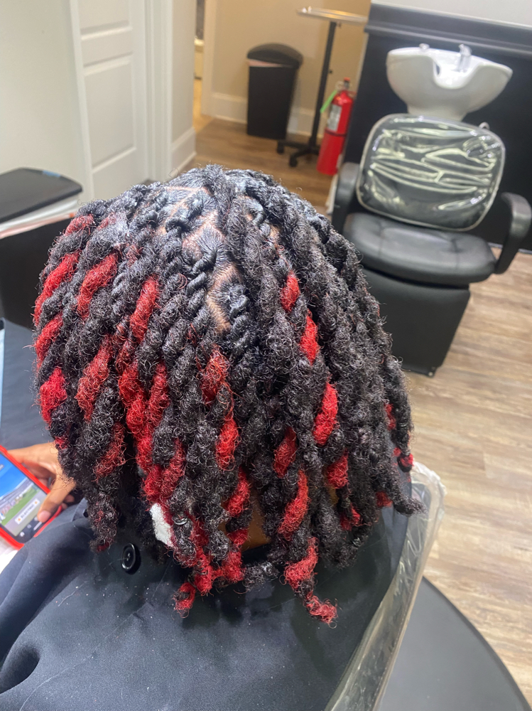 Highlights (Locs)