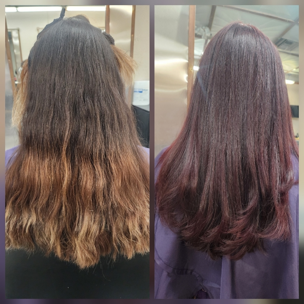 Full Head Color at Aurora Signature Salon in Herndon, VA