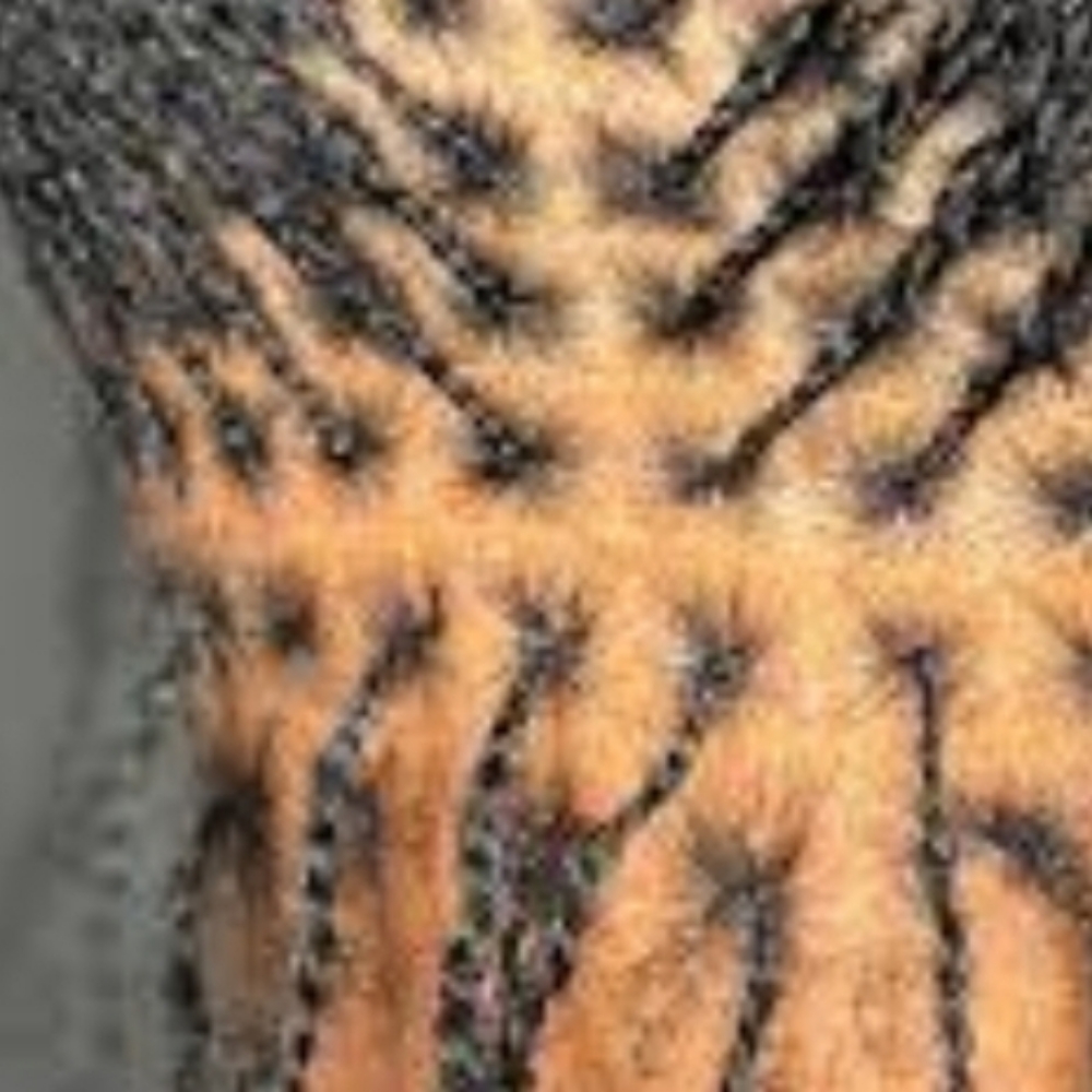 Micro Locs at Talent Is Hair in New York, NY