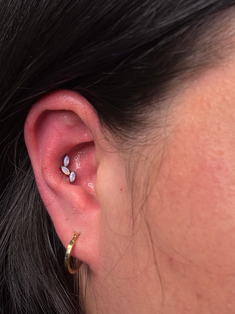 Conch piercing