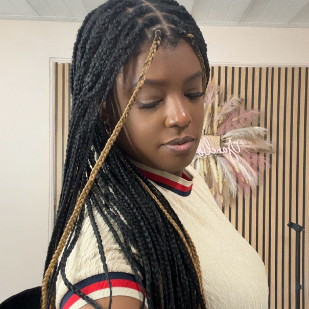 Mini Braids Mind Back at Yanelis  Braids in Port Richey, FL