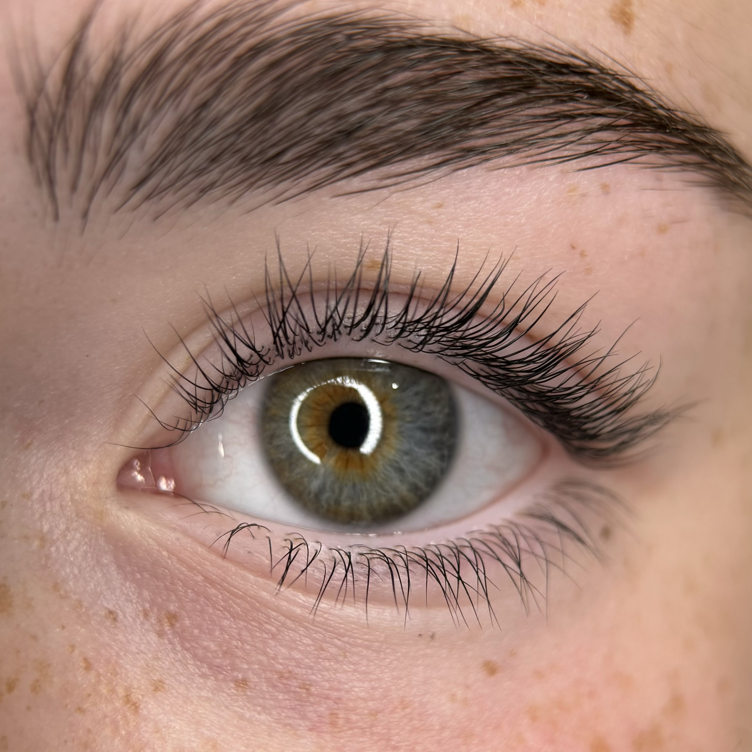 Lash lift + tint