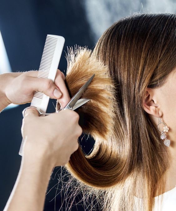 DRY HAIRCUT