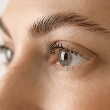 Brow Lamination at Ascend Method Studio in Round Rock, TX