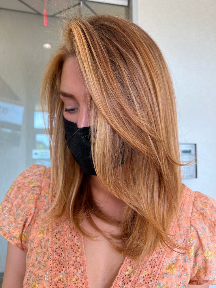 Full Balayage, Shadow, Cut