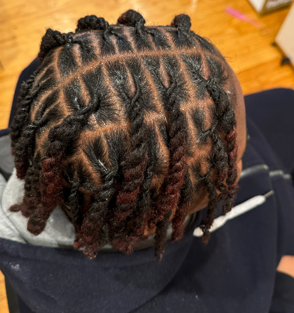 Locs Retwist & Two Strand Twist