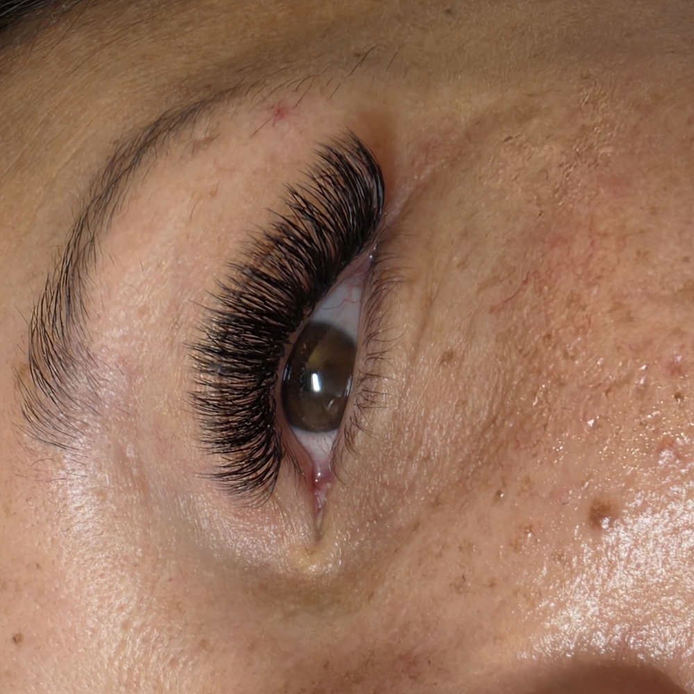 Volume/ Hybrid/ Classic Lash Fill