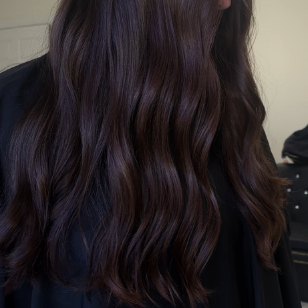 🚨 COLOR CORRECTION at The Village Salon in Powhatan, VA