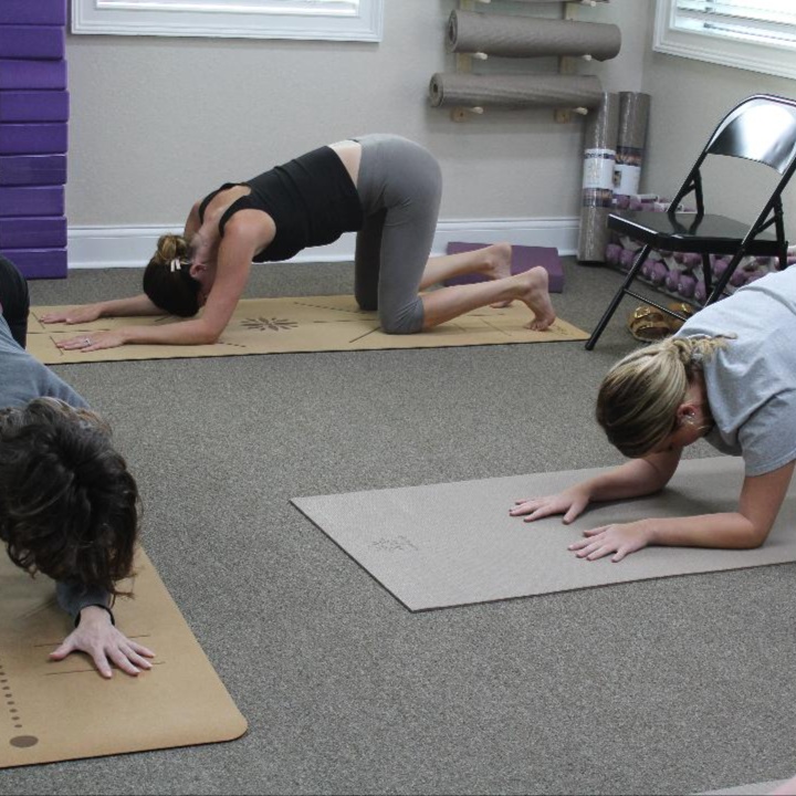 Chair Yoga - Single Class - $19.00 at Competitive Edge Massage and Wellness in Auburndale, FL