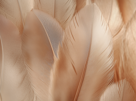 Extension Consultation at Eye Candy Hair Co. in Estero, FL