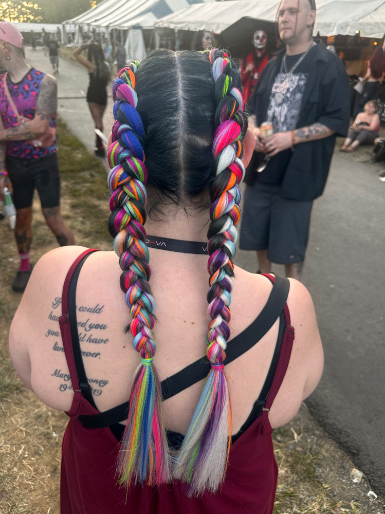 2 Braids With Extensions