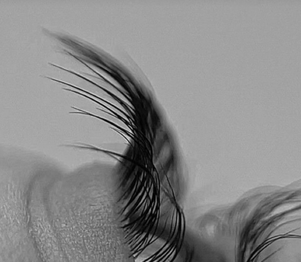 Lash Lift & Tint at Hanna Horne Esthetics in Goldsboro, NC