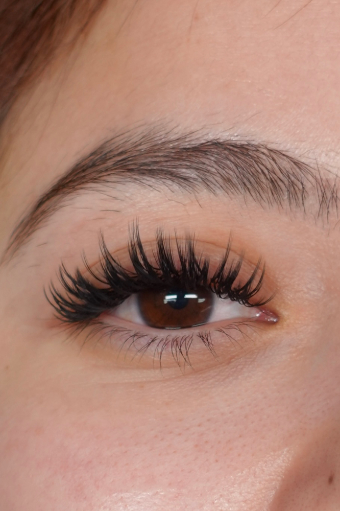 Any Lash Set Of Choice