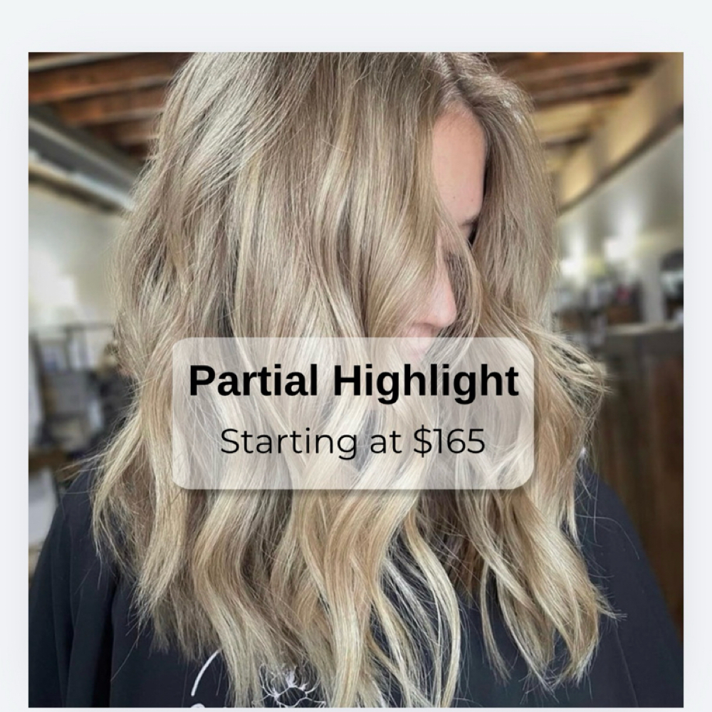 Halo Highlight at Magnolia Hair Studio in Starkville, MS