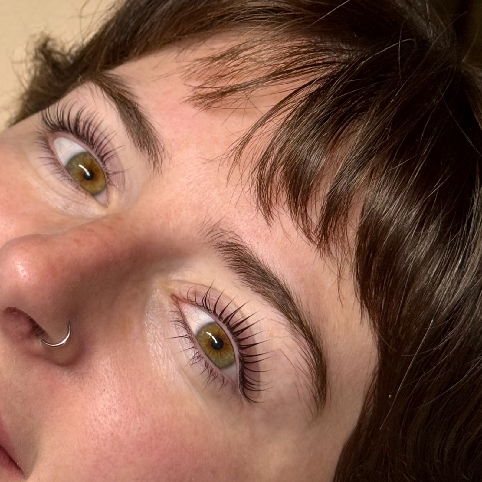 Returning Client Korean Lash Lift at ZOLA Beauty Bar in Evansville, IN