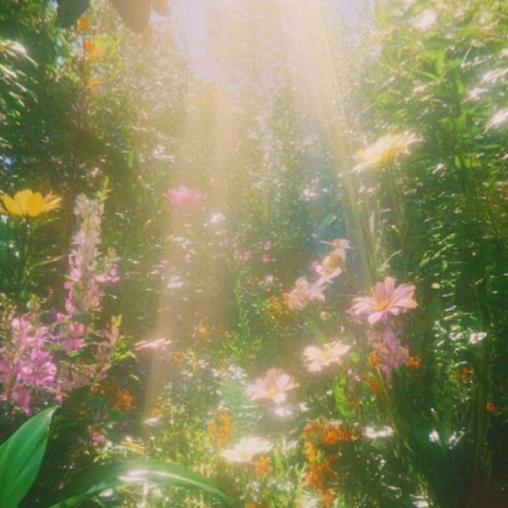 In Full Bloom 🌼🌸 at Ethereal Aura LLC in Crown Point, IN