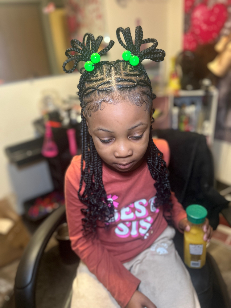 (2-5) Fulani Braids at BraidsByChardonnay in Milwaukee, WI