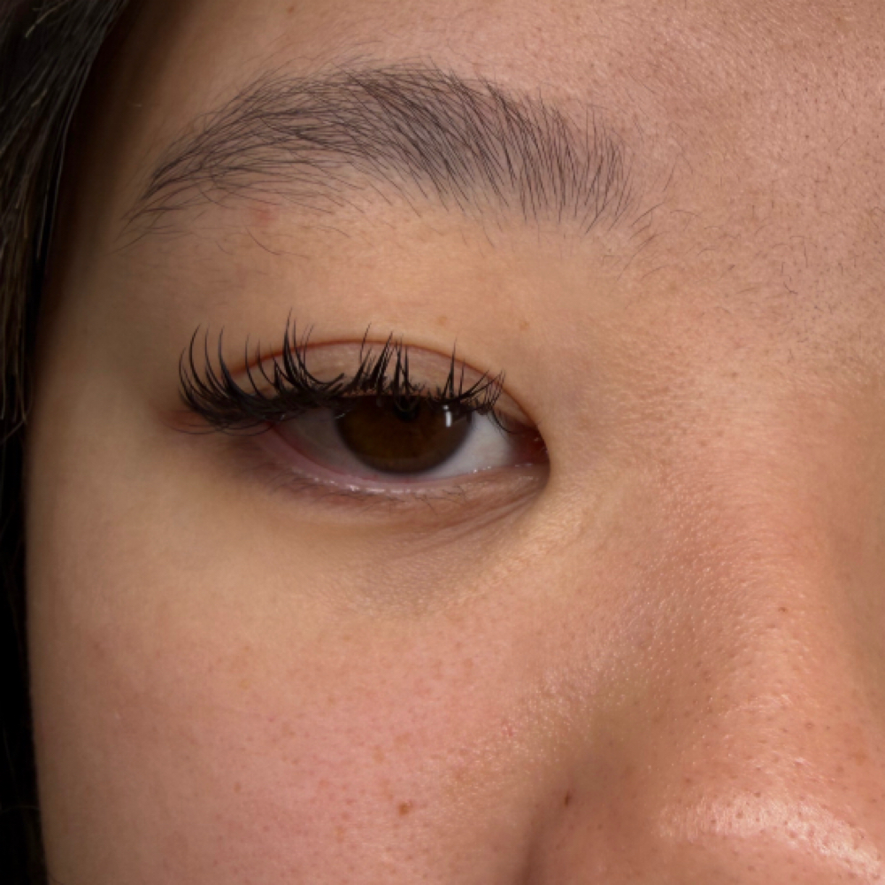 Lash Extension Fill at Aurchid Skin in East Lansing, MI