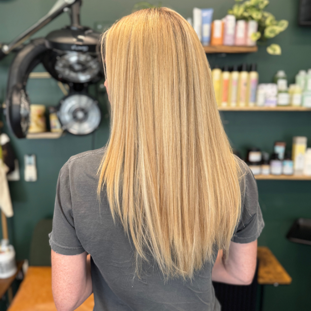 Wash & Blowout (without Ironwork) at Greenhaus Hair Studio in Campbell, CA