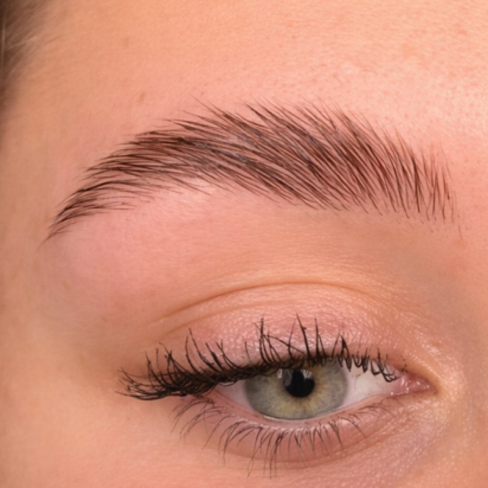 Brow lamination (wax & tint) at Lianas Beauty Haven Studio in saint james, NY