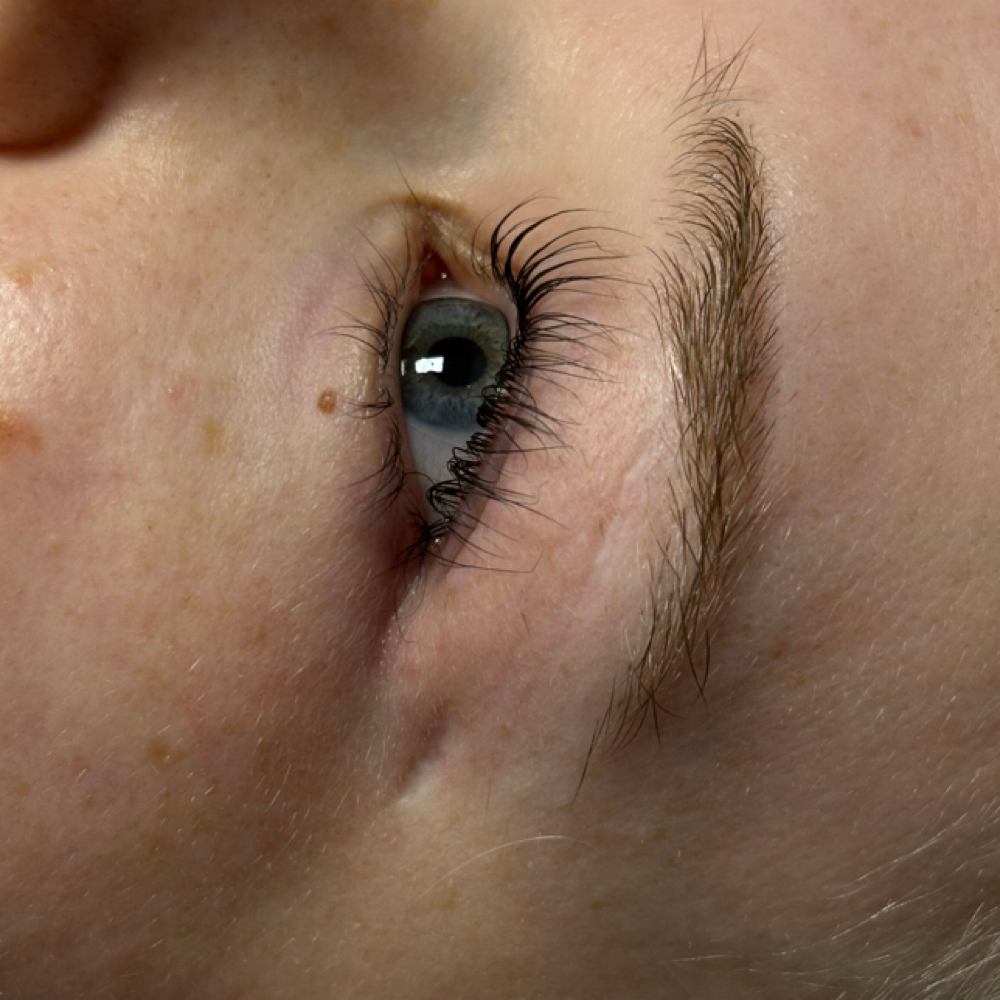 Lash Lift and Tint at Groovy Lash in Allen, TX