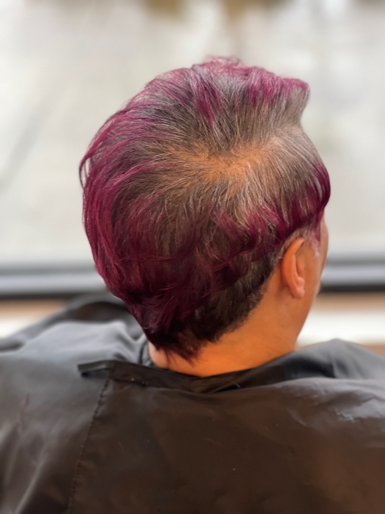 Root ReTouch (Style Not Incld.) at Akiba Fisher @Enliven Salon in Portland, OR