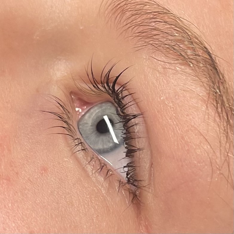 Lash Tint Only