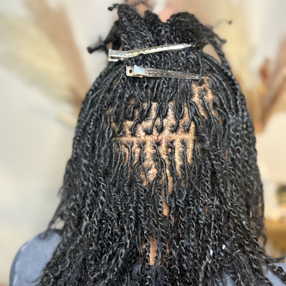 100-250 Loc Count, Shoulder Length at 𝐀𝐧𝐨𝐢𝐧𝐭𝐞𝐝 𝐋𝐨𝐜𝐬™ 𝐓𝐫𝐢𝐜𝐡𝐨𝐥𝐨𝐠𝐲 𝐒𝐭𝐮𝐝𝐢𝐨𝐬 in Chicago, IL