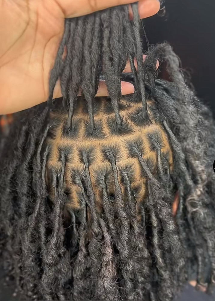 Small Starter Locs (Starting Price)